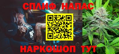 СК Ставрополь